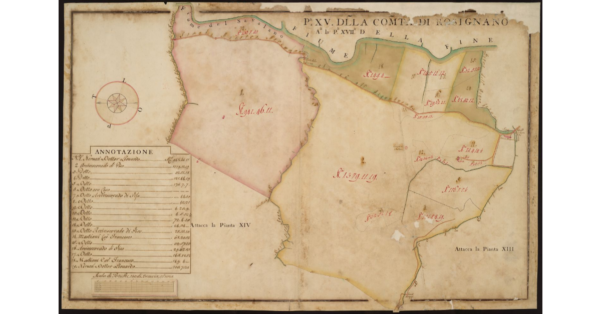 P[ianta] XV della Comunità di Rosignano