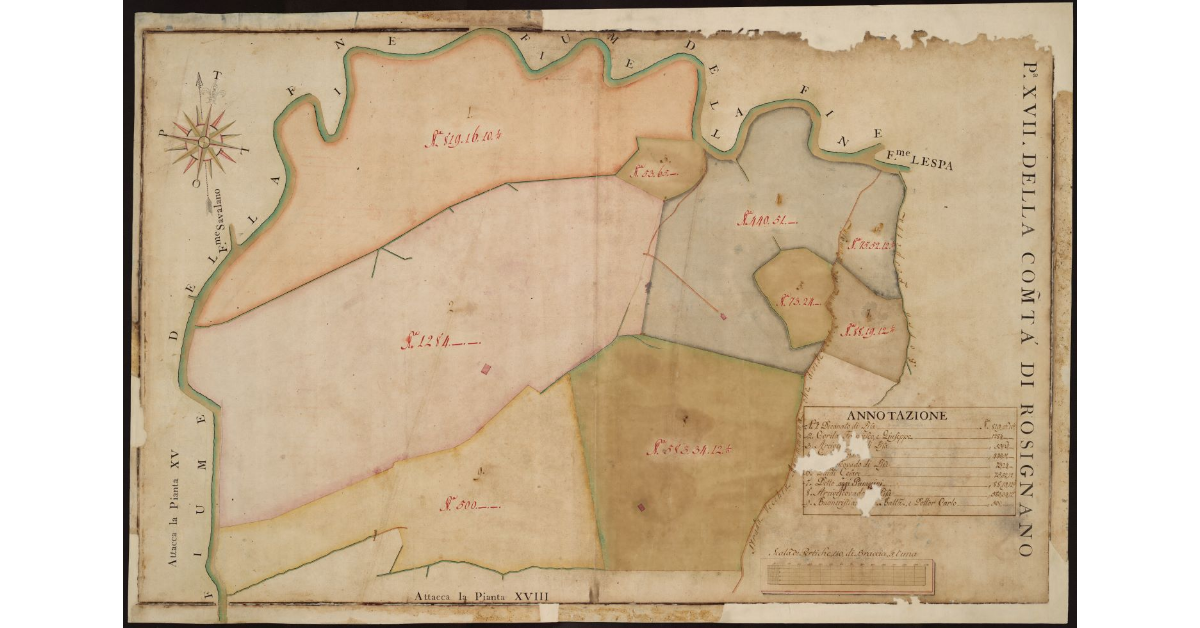 P[ianta] XVII della Comunità di Rosignano