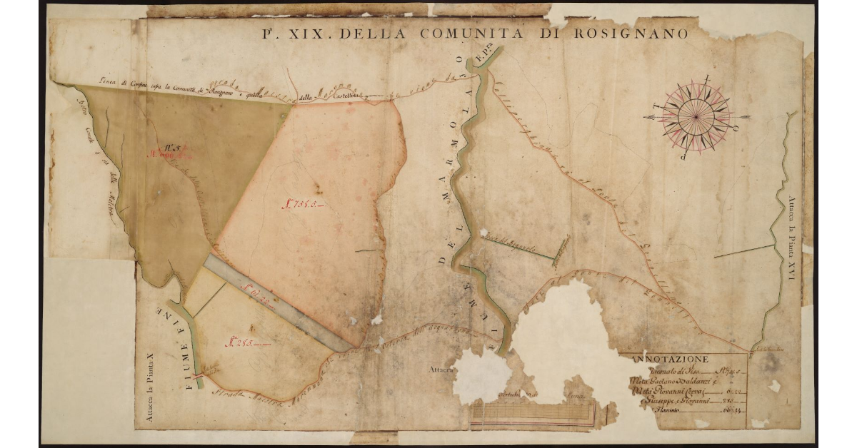 P[ianta] XIX della Comunità di Rosignano