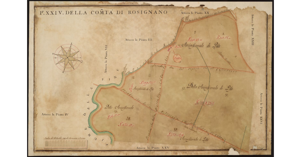 P[ianta] XXIV della Comunità di Rosignano