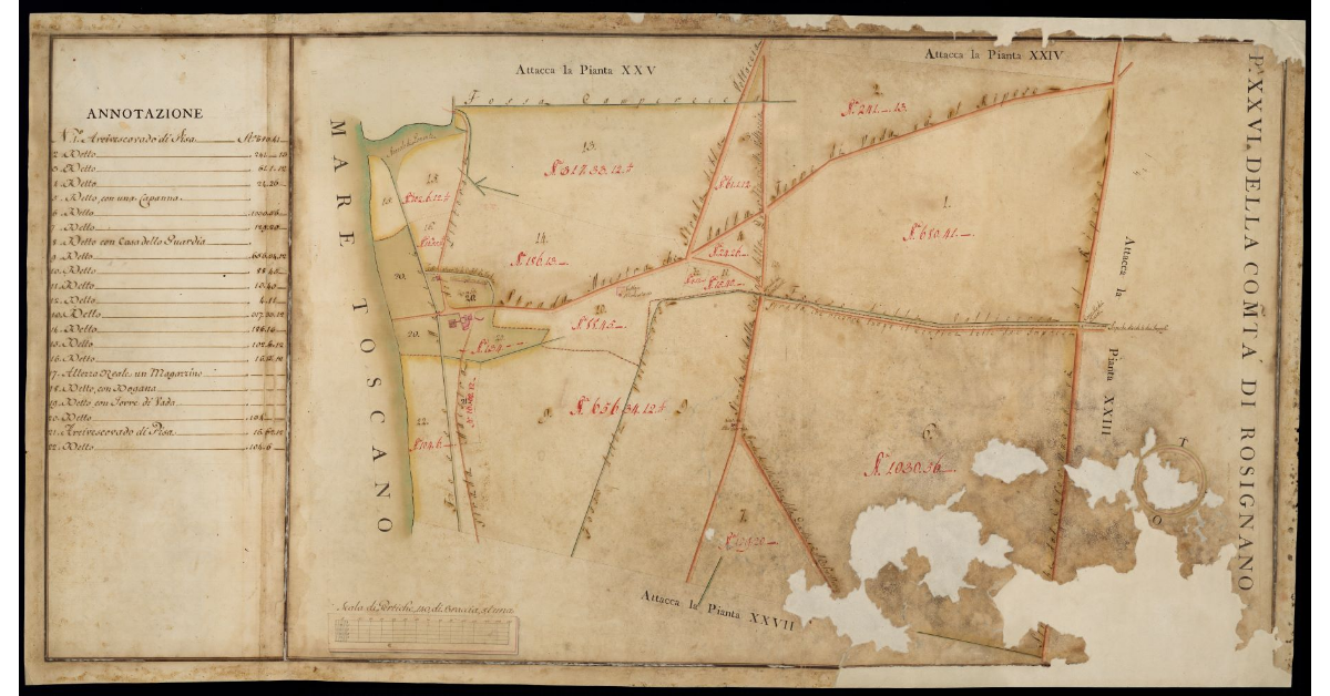 P[ianta] XXVI della Comunità di Rosignano