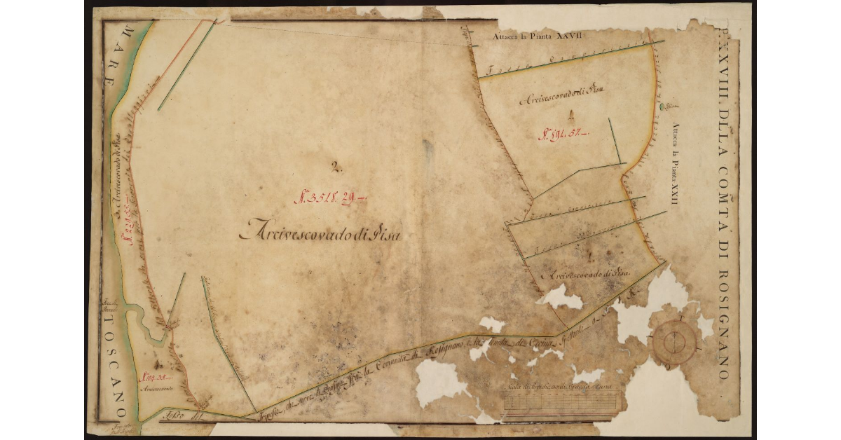 P[ianta] XXVIII della Comunità di Rosignano