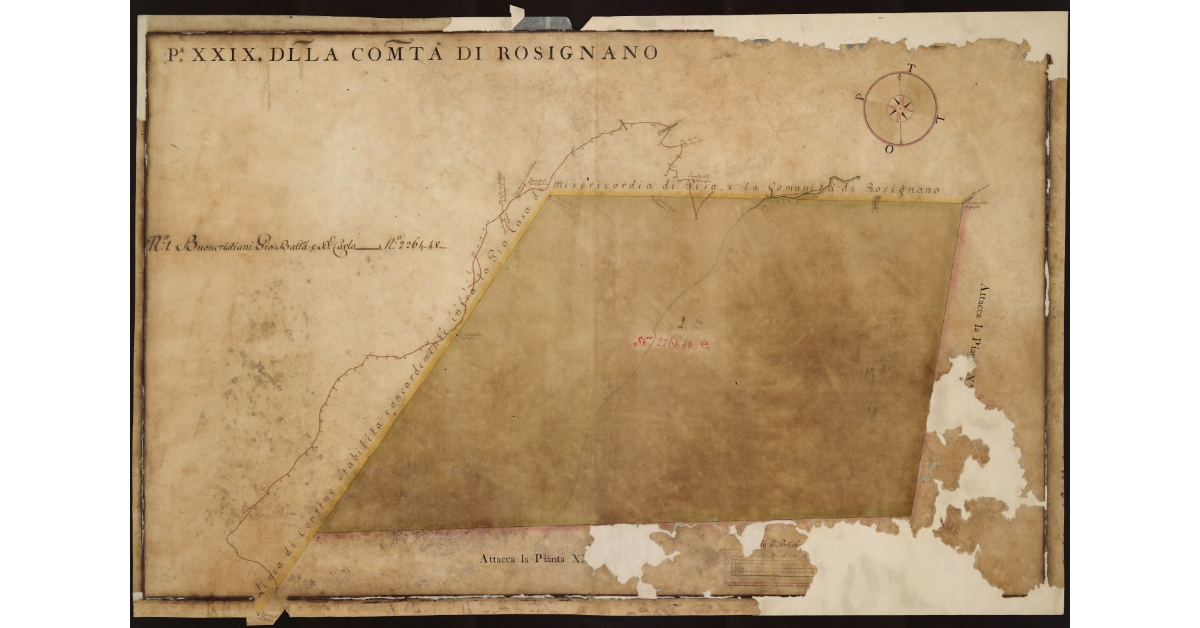 P[ianta] XXIX della Comunità di Rosignano