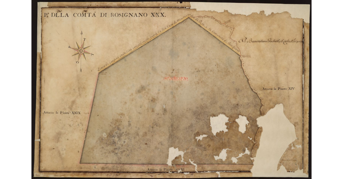 P[ianta] XXX della Comunità di Rosignano