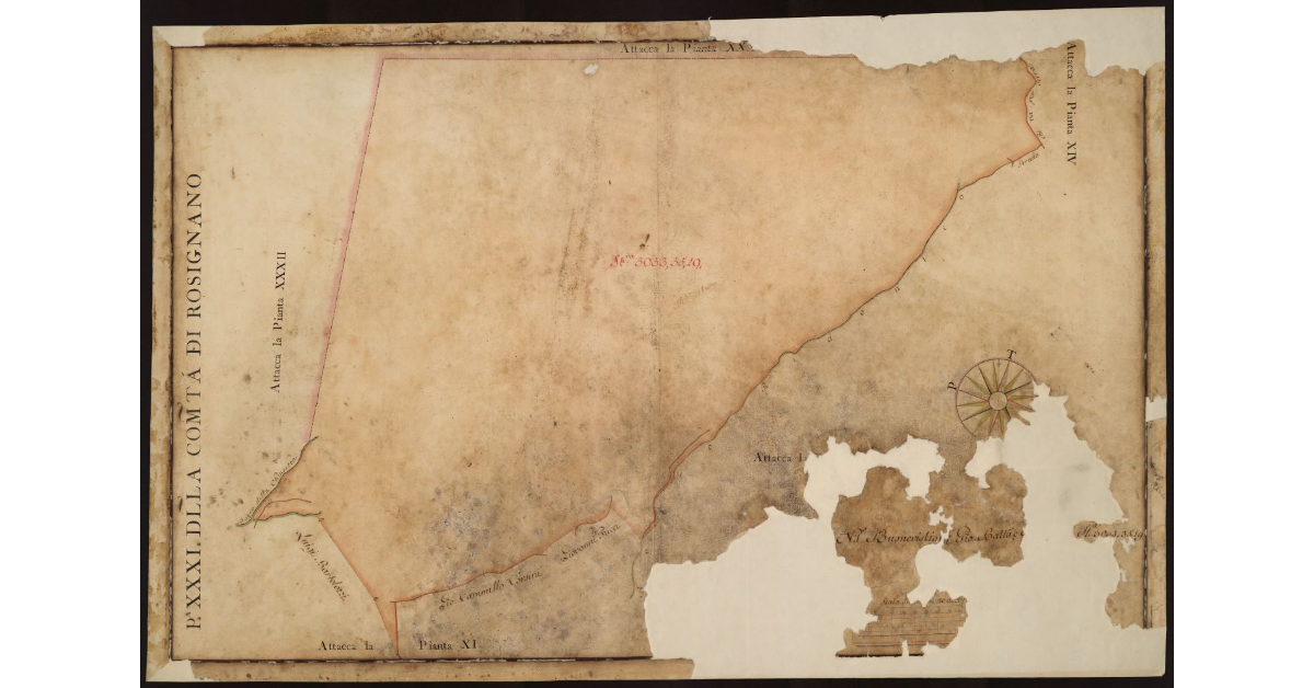 P[ianta] XXXI della Comunità di Rosignano