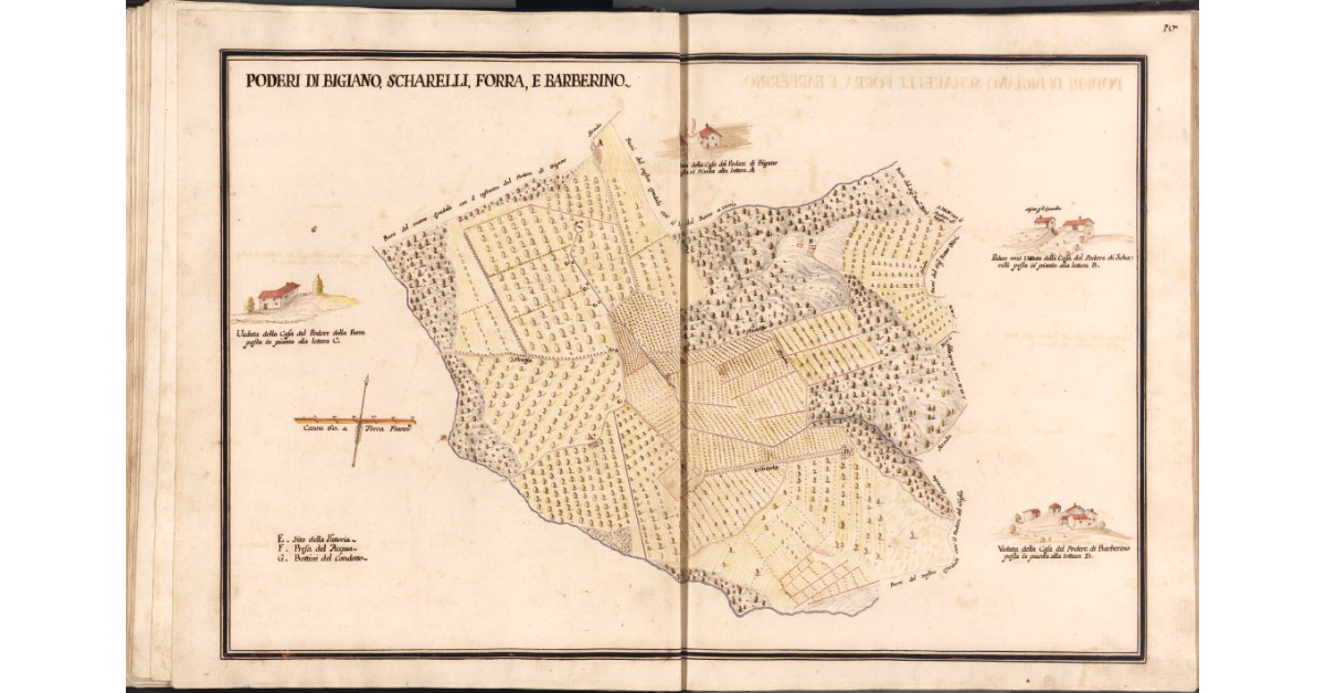 Poderi di Bigiano, Scharelli, Forra, e Barberino
