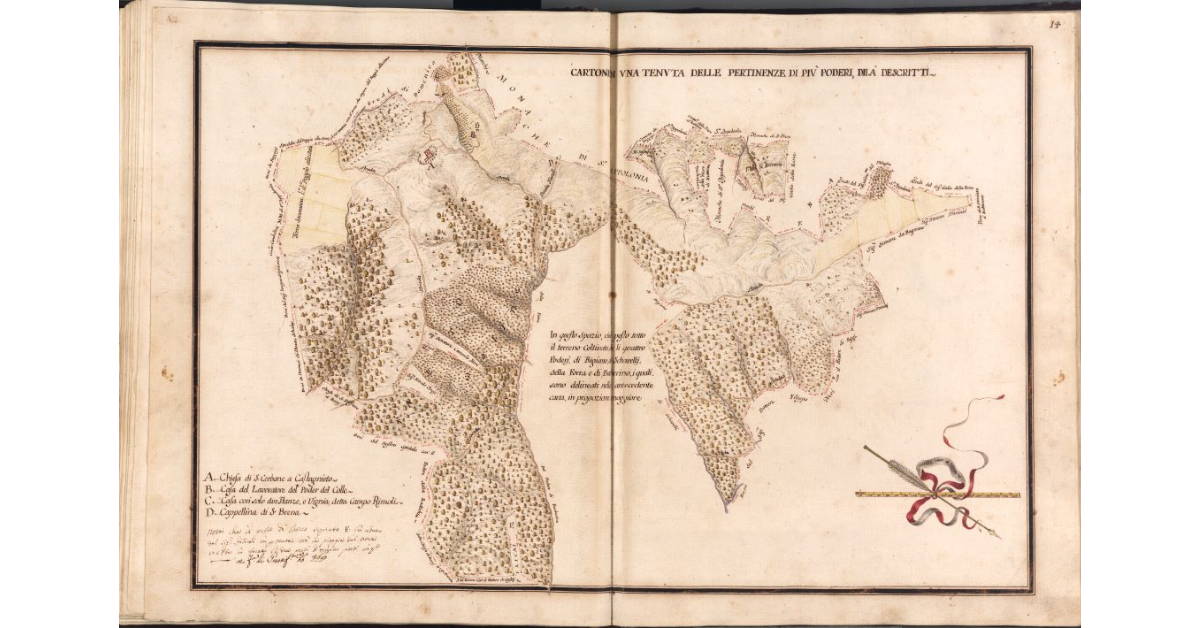 Cartone di una tenuta delle pertinenze di più poderi, dilà descritti