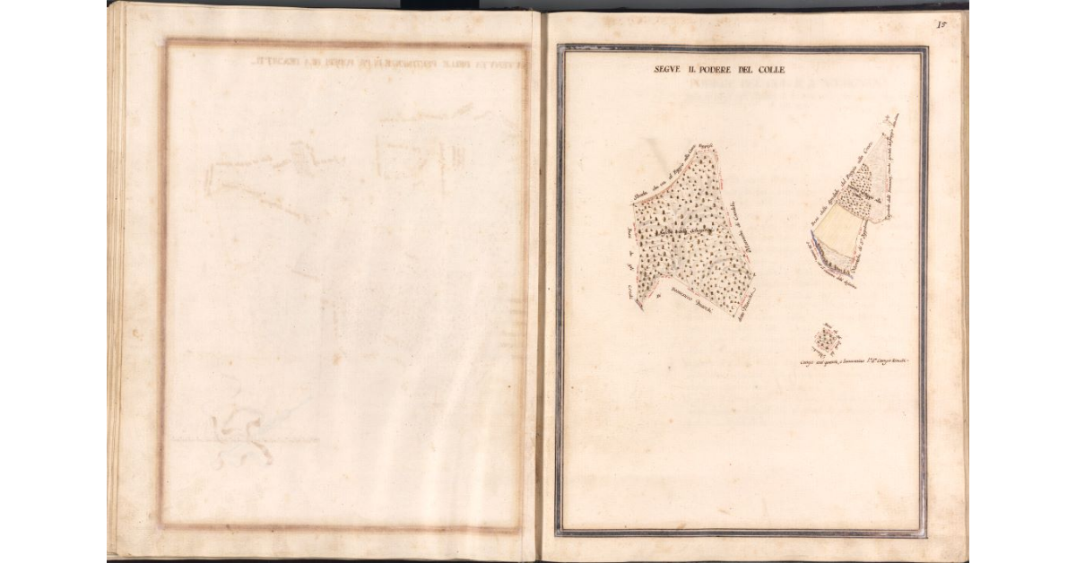 [Pianta di tre appezzamenti di terreno di pertinenza del podere del Colle]