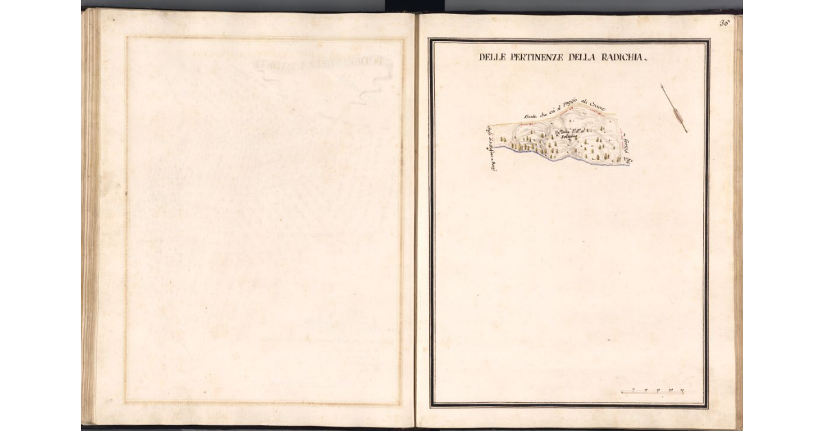 [Pianta di un terreno di pertinenza del podere della Radichia]