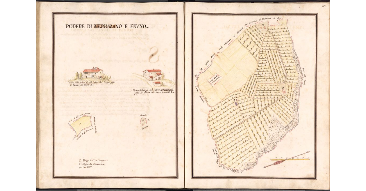 Poderi di Verrazano e Pruno