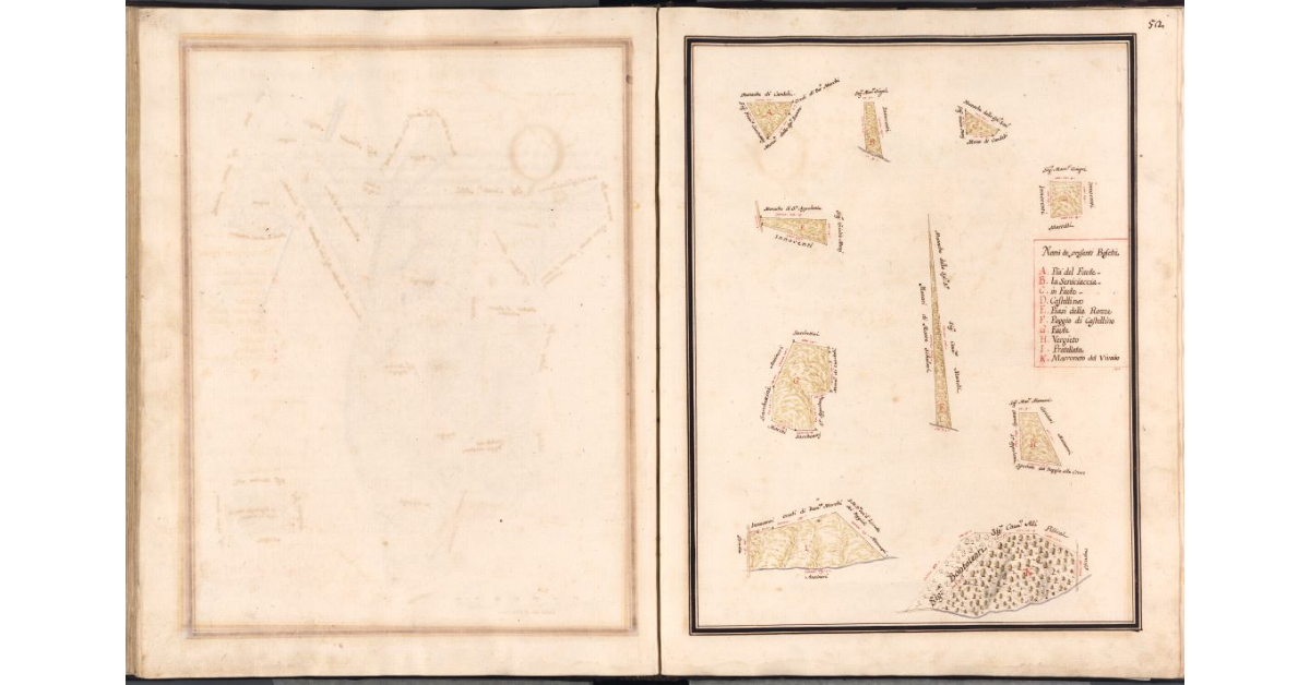 [Pianta dei boschi di Monte Scalari di pertinenza del Podere del Colle]