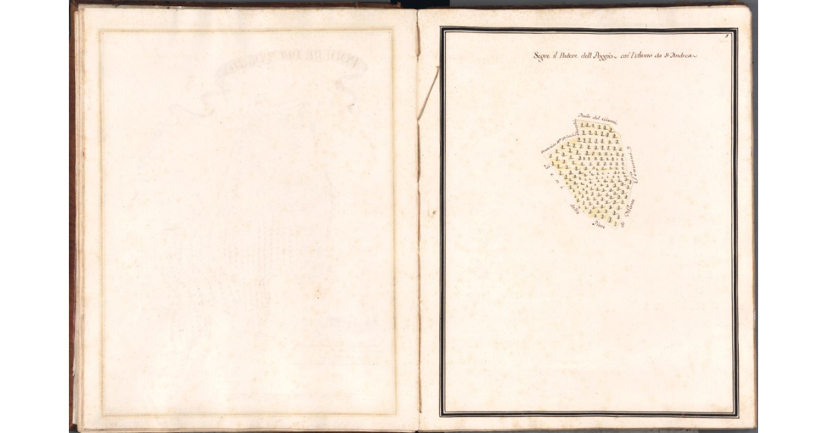 [Pianta dell'oliveto di pertinenza del podere del Poggio]