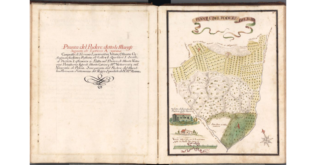 Pianta del podere del Moro