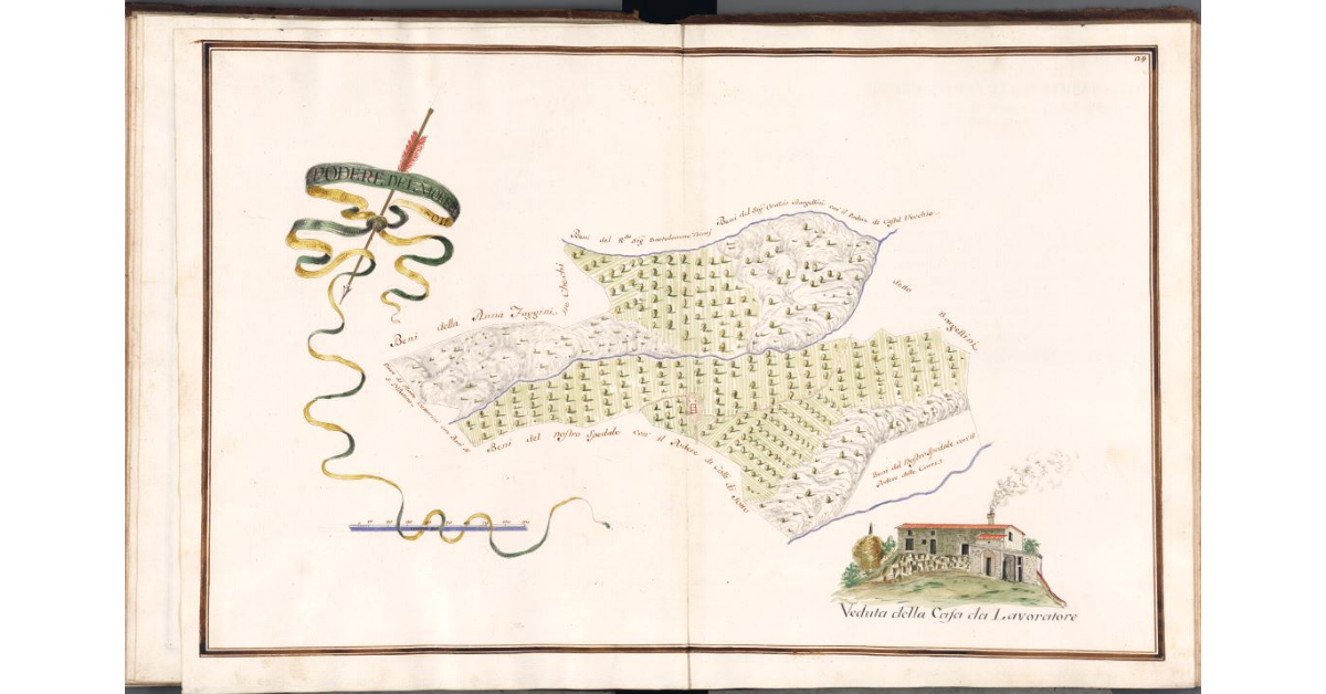 Podere del Morellino