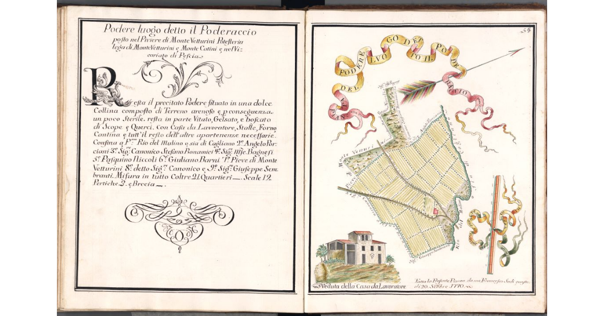 Pianta del Podere luogo detto il Poderaccio