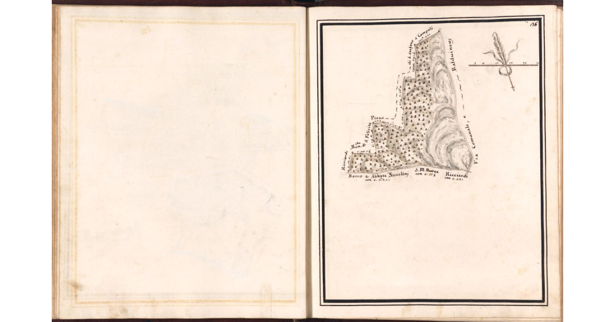 [Pianta di un terreno di pertinenza del podere di Postico]