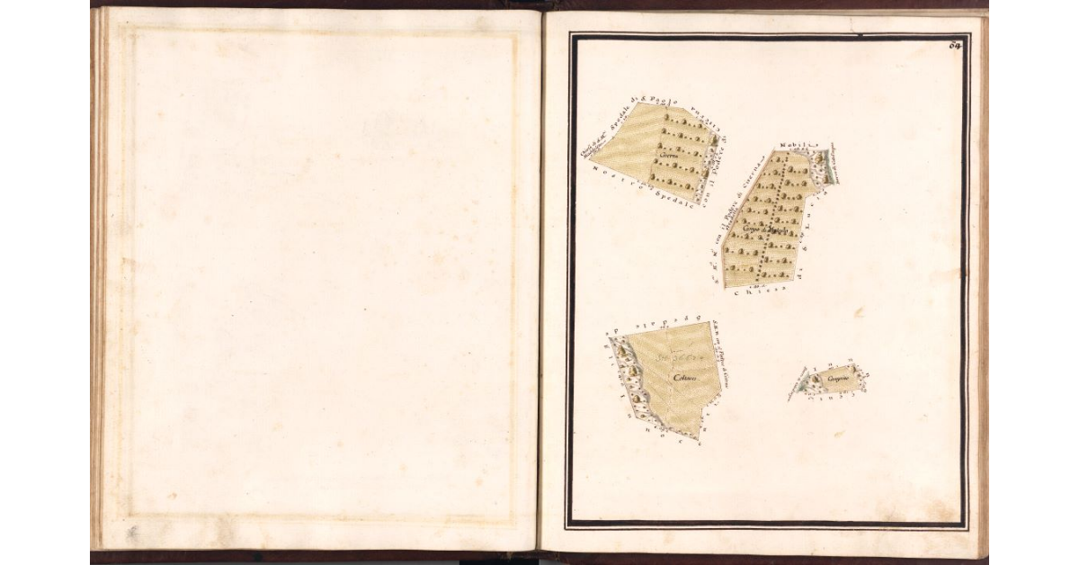 [Pianta di alcuni terreni di pertinenza del podere di Casciano]