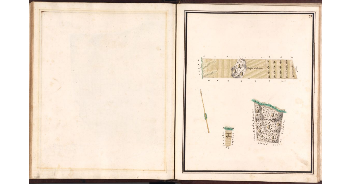 [Pianta di alcuni terreni di pertinenza del podere di Pogni]