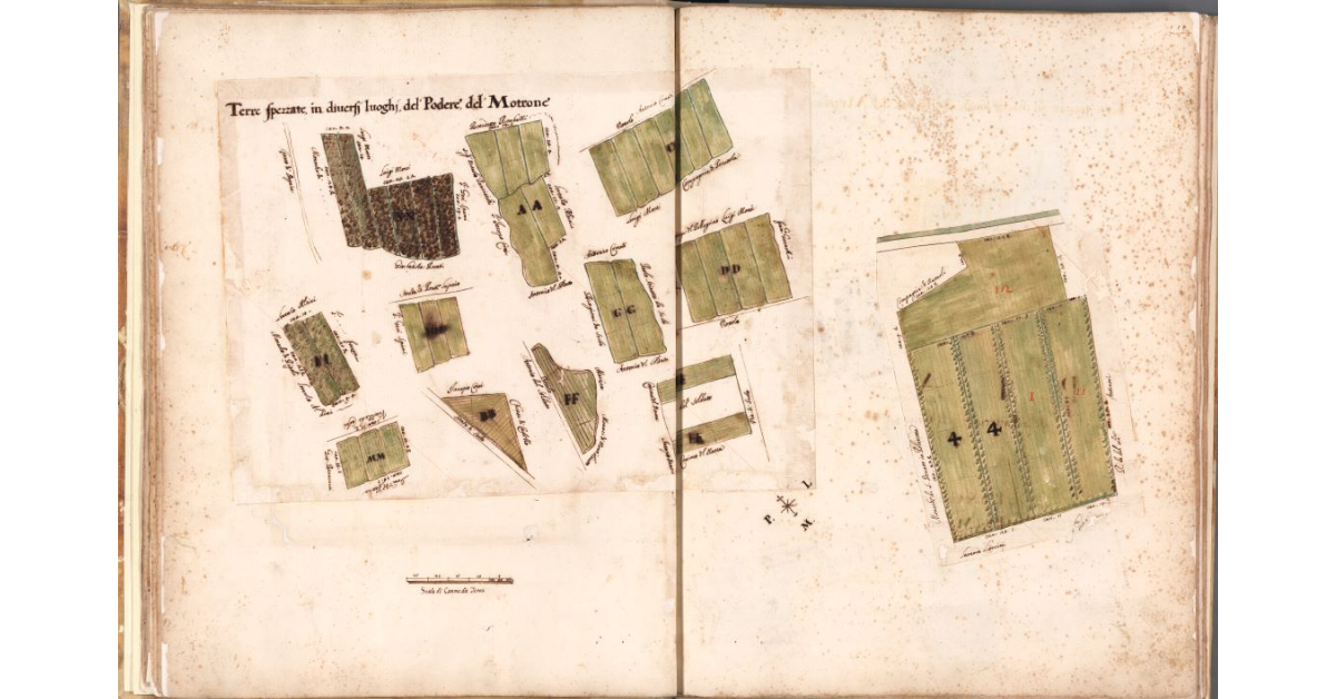 Terre spezzate in diversi luoghi del Podere del Motrone