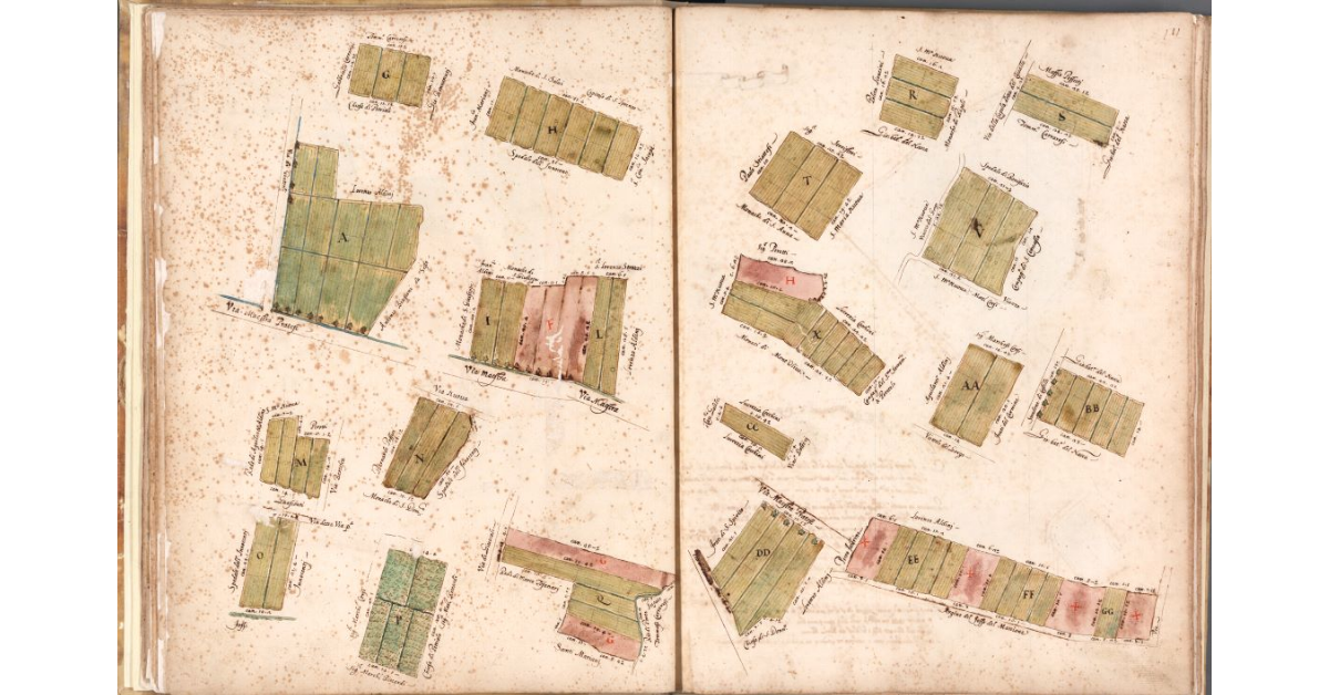 [Terre spezzate del Podere del Motrone]