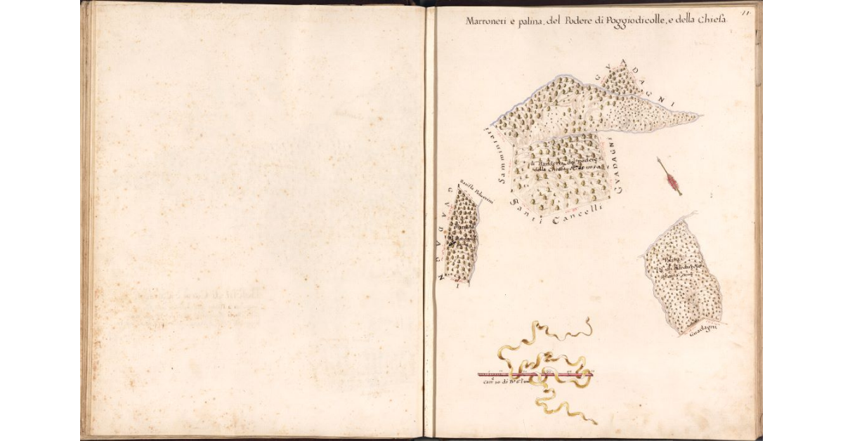 Marroneti e palina del Podere di Poggiodicolle, e della Chiesa