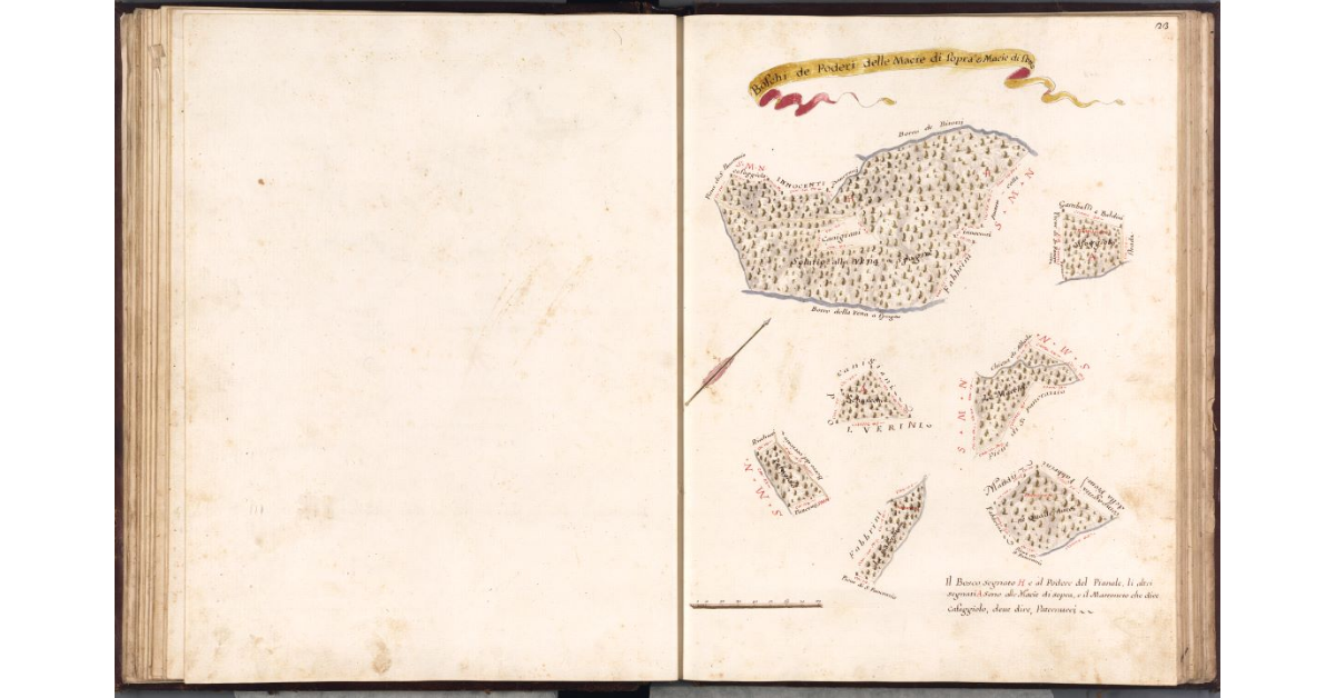 Boschi de Poderi delle Macìe di Sopra e Macìe di Sotto