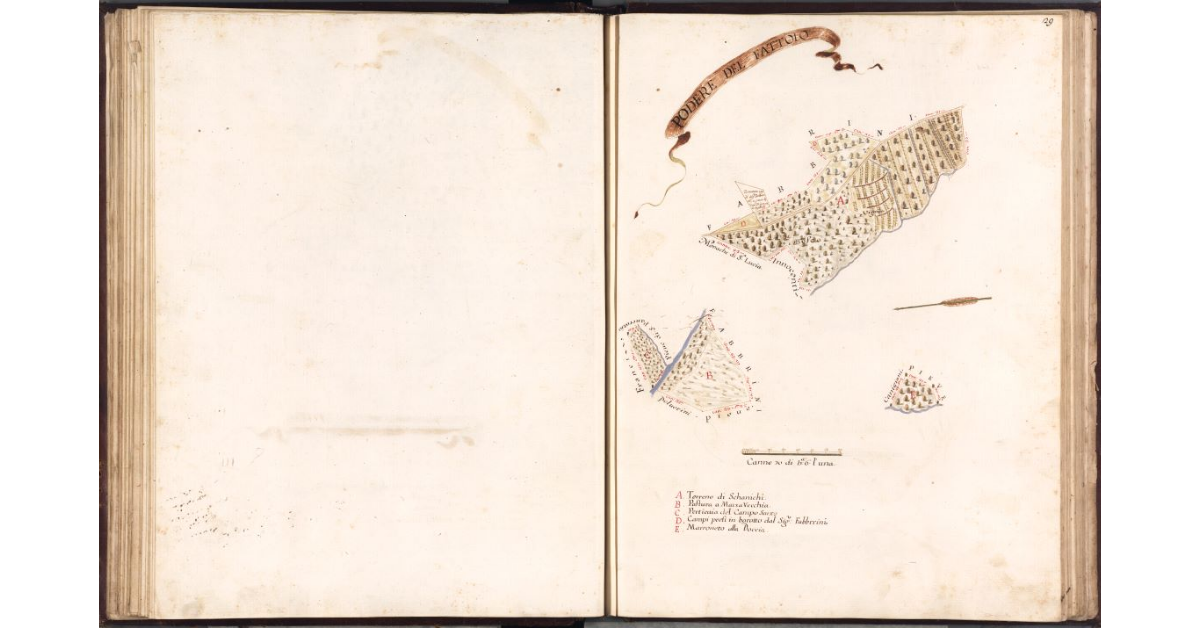 Podere del Fattoio [terreni annessi]