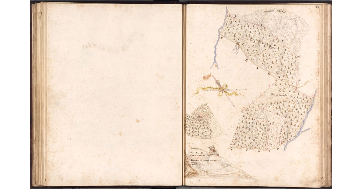 Bosco di Cafaggiolo [e Poderino di Pruneto]