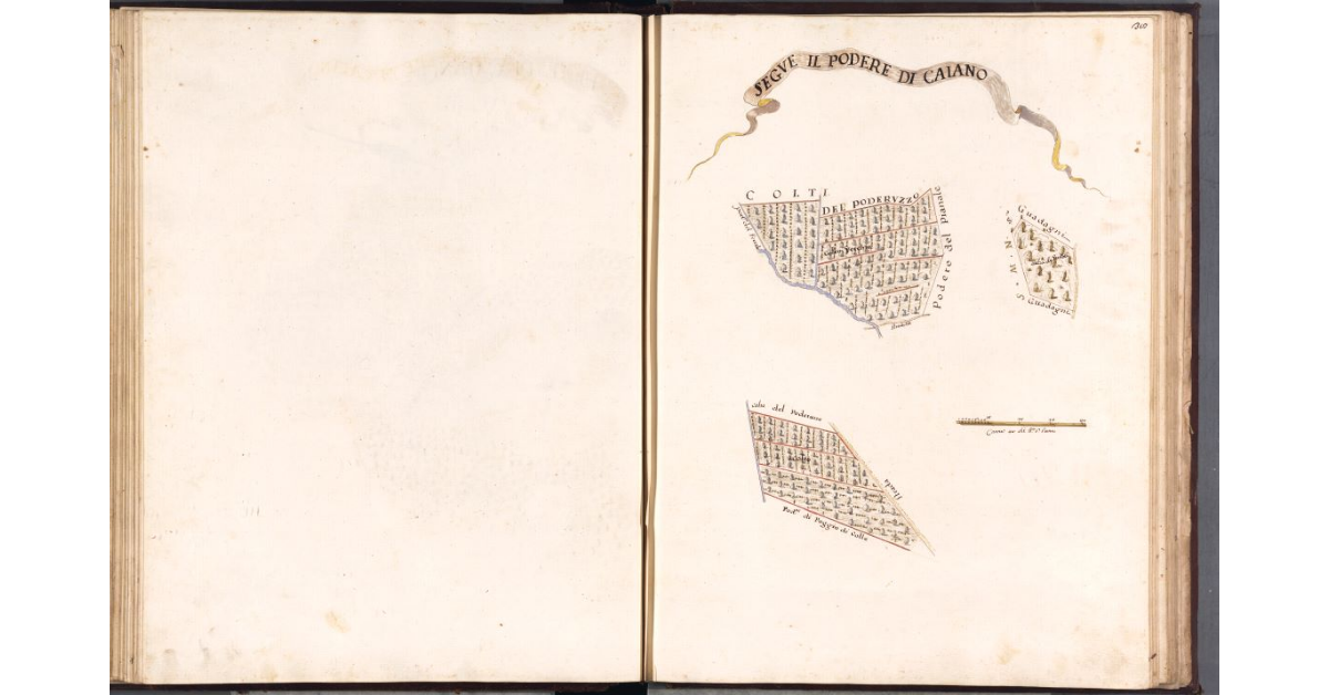 Segue il Podere di Caiano