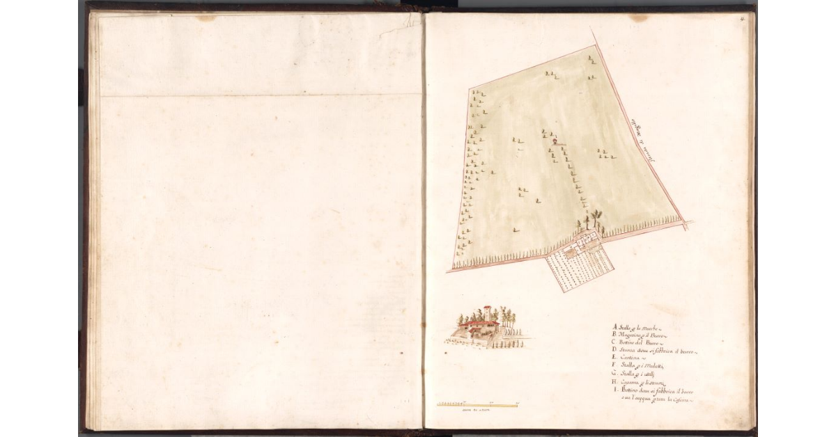 [Pianta e alzato della Cascina dell’Olmo]