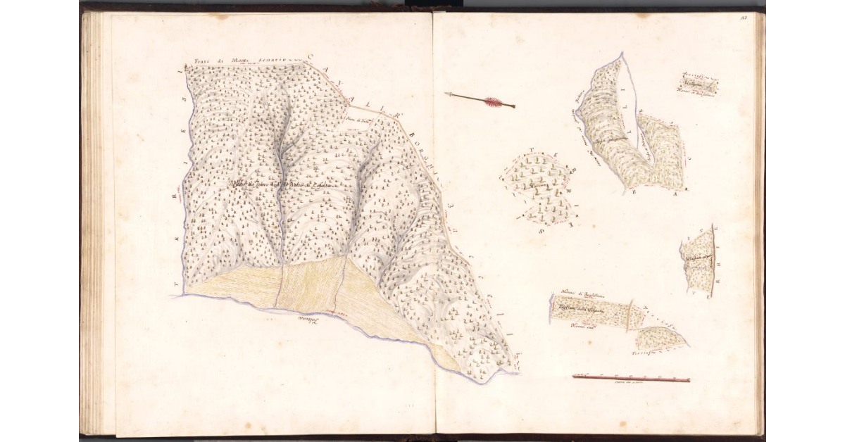 [Boschi e coltivi del Podere di Casalta]