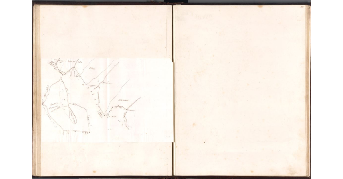 [Bosco del Pianaccio del Podere di Casalta]