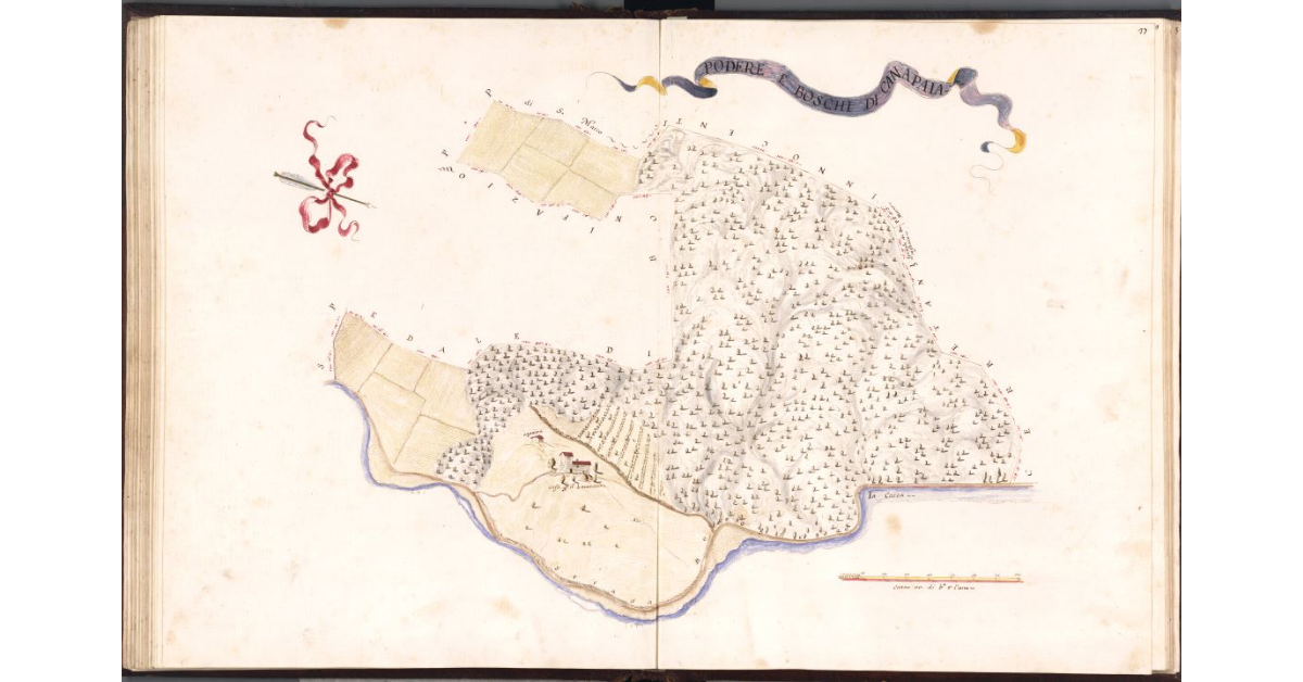 Podere e Boschi di Canapaia