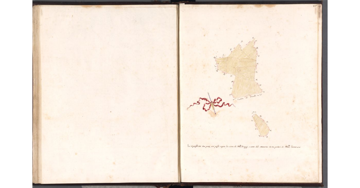 [Terre dei Poderi di Montefanna]