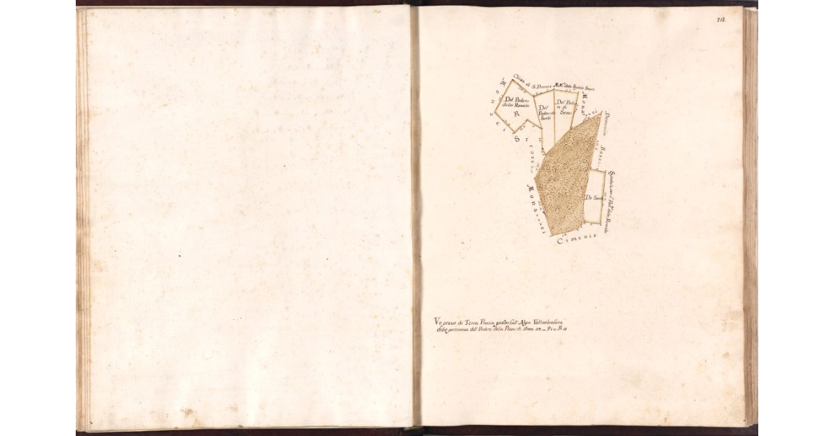 Un pezzo di Terra Pratia posta sull’Alpe Vallombrosane