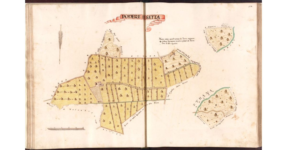 Podere di Setta