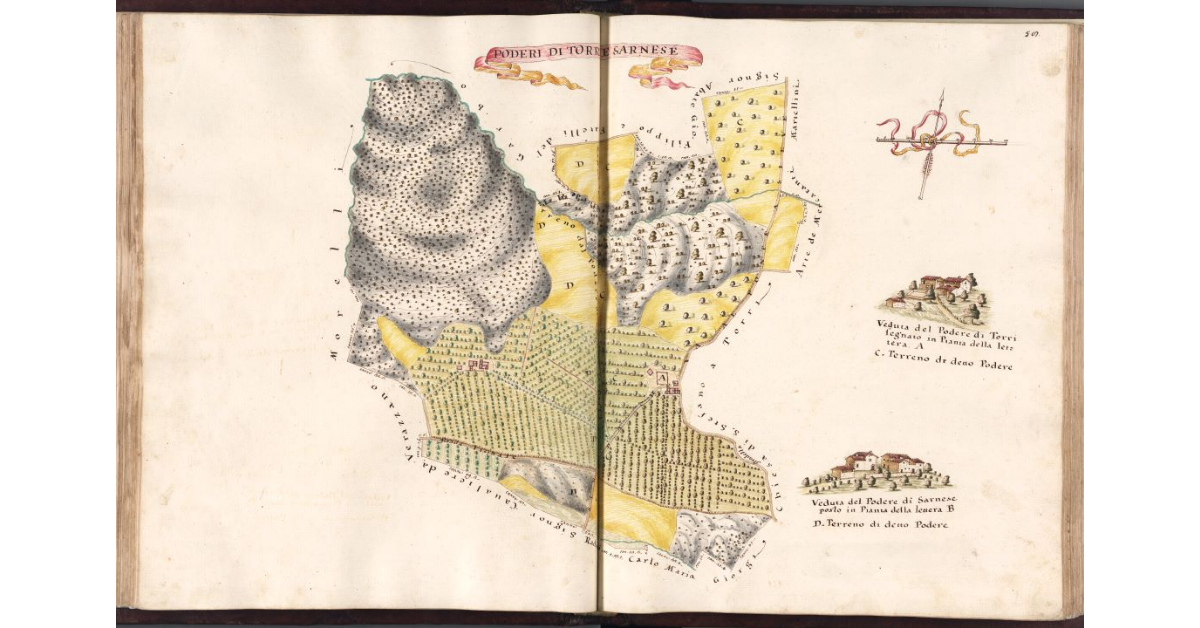 Poderi di Torri e Sarnese