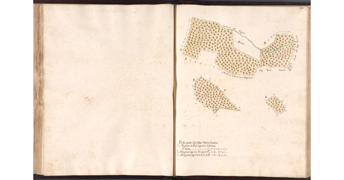 [Boschi a Palina nelle Alpi Vallombrosane]