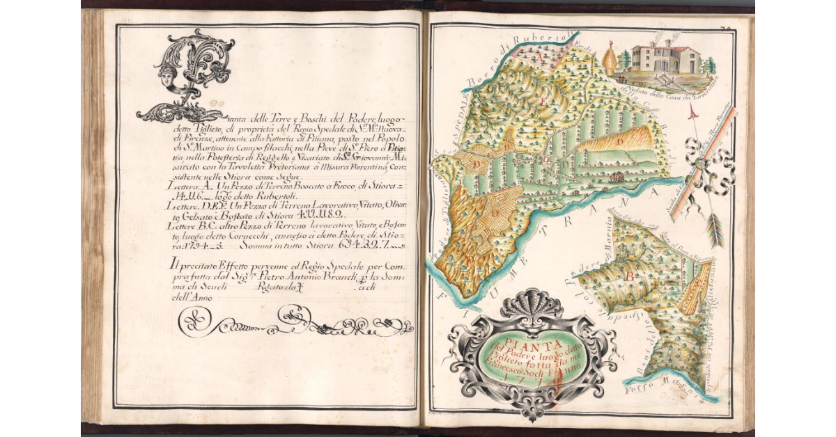 Pianta del Podere luogo detto Tiglieto