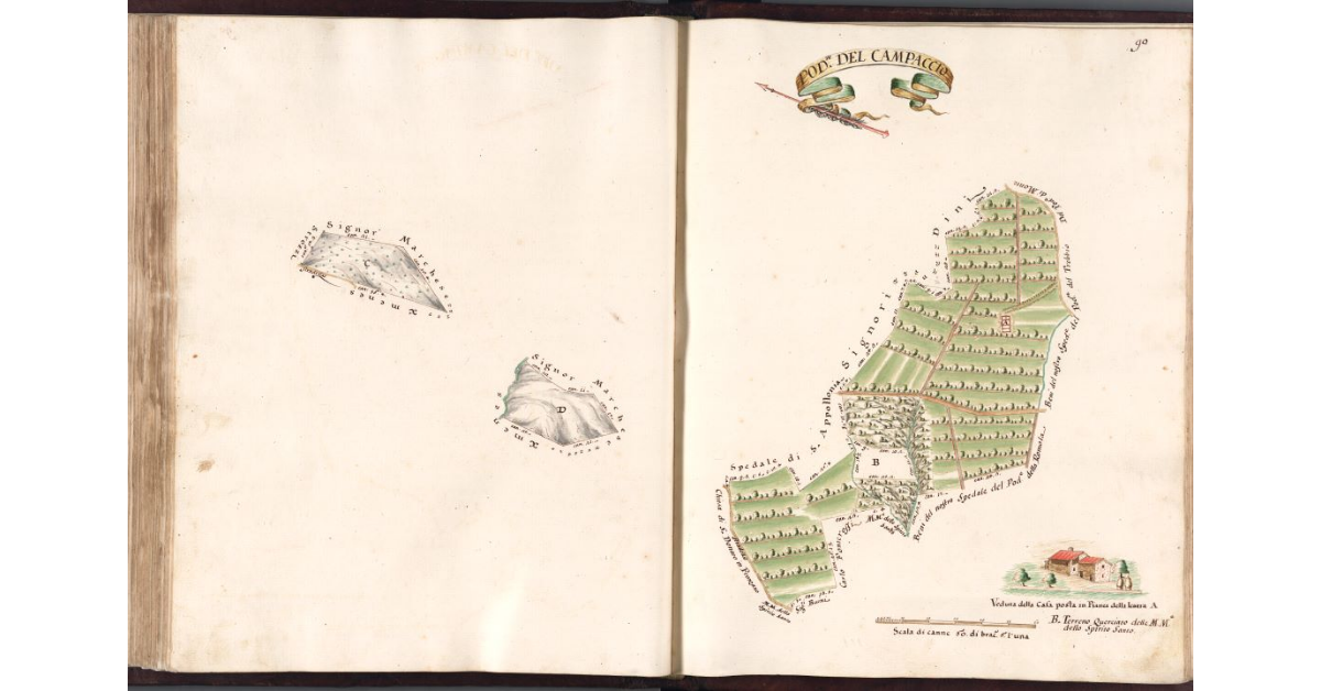 Podere del Campaccio