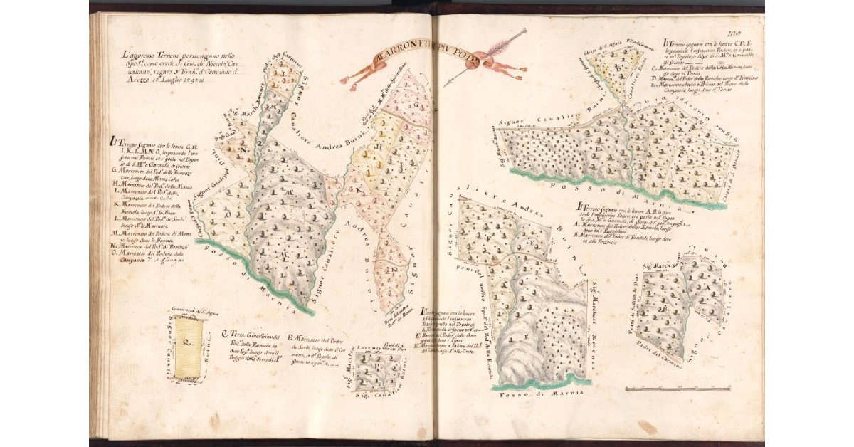 Marroneti di più poderi