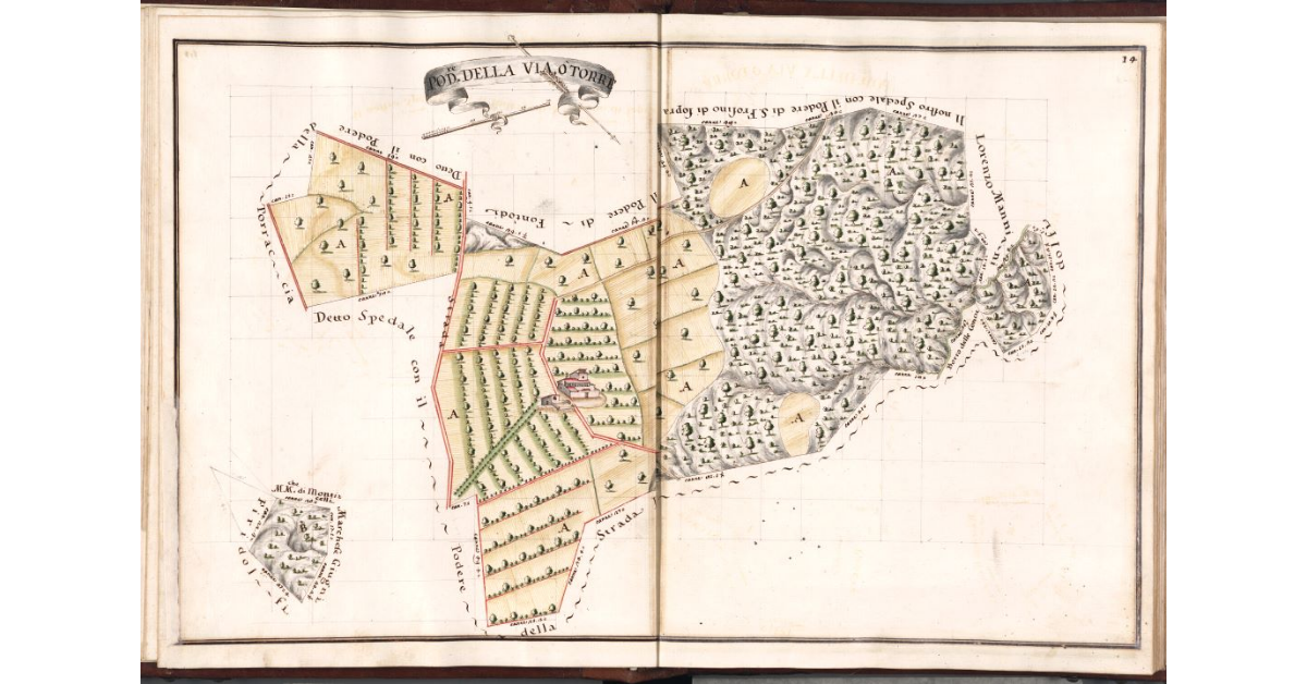 Podere della Via, o Torre