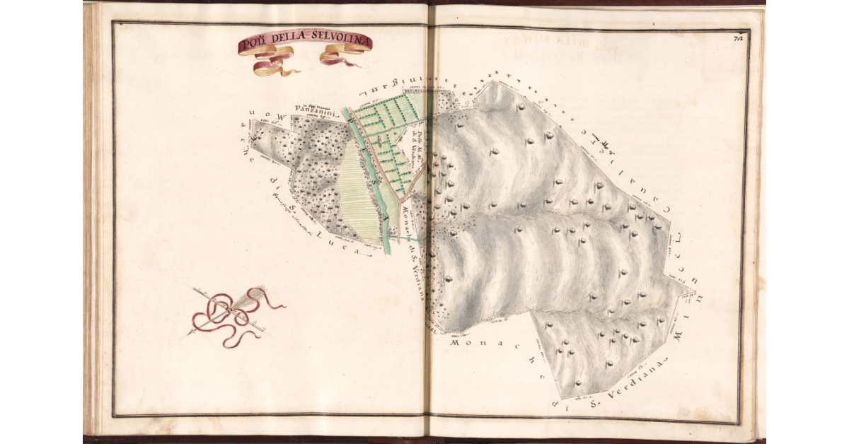 Podere della Selvolina