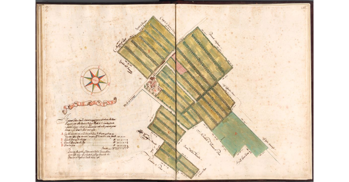 P[odere] delle Miccine