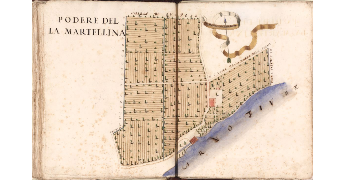 Podere della Martellina