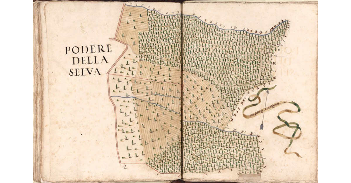 Podere della Selva
