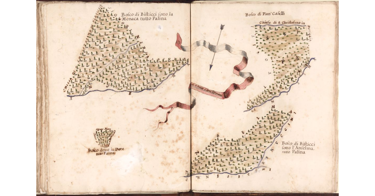 Boschi di Bisticci sotto la Monaca e sotto l’Anselma, Bosco detto La Dote e Bosco di Pian Caselli