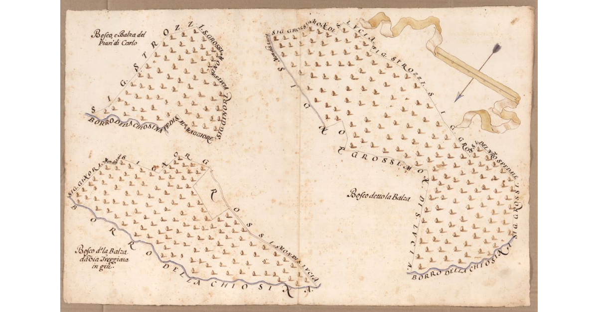 [Boschi dipendenti dal Podere di Borgo posto nel Popolo di S. Maria a Morello Potesteria di Calenzano]