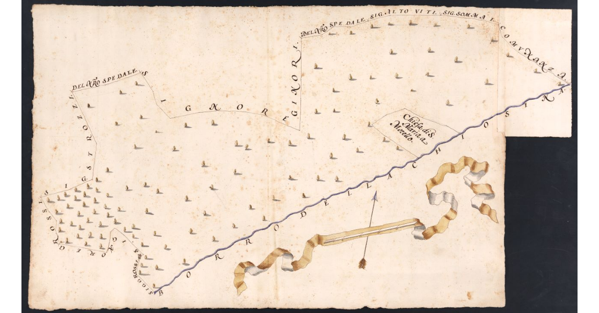 [Bosco dipendente dal Podere di Borgo posto nel Popolo di S. Maria a Morello Potesteria di Calenzano]
