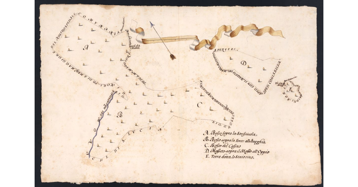 [Boschi e masseti dipendenti dal Podere di Borgo posto nel Popolo di S. Maria a Morello Potesteria di Calenzano]